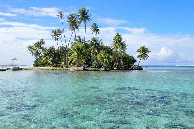 Guided Snorkeling and Relaxation on the Motu Ofetaro in Raiatea - Good To Know