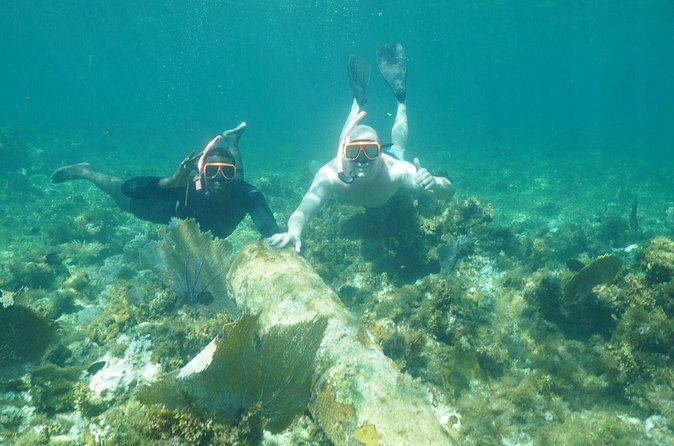 Guided Snorkeling at the Anchor and Cannon Reef in Negril - Frequently Asked Questions