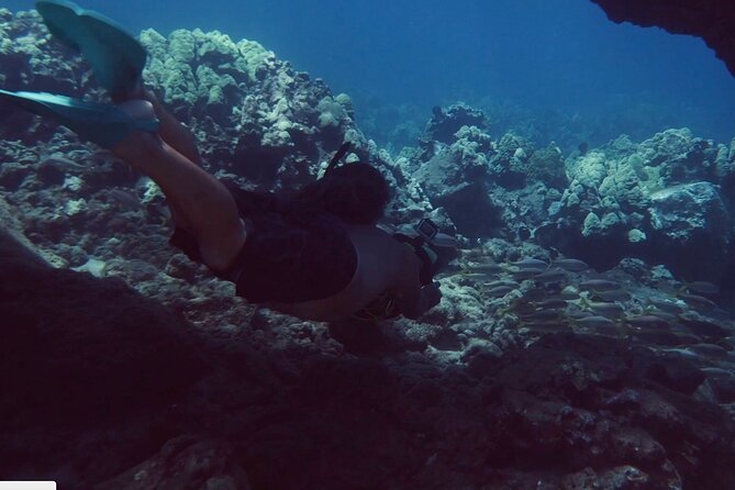 Guided Snorkeling Excursion With Flotation Wetsuits in Maui - Safety Guidelines