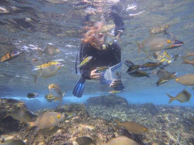 Guided Snorkeling Experience - Location and Description