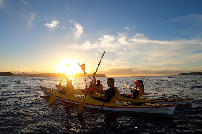 Guided Snorkeling Experience in Bondi - FAQs