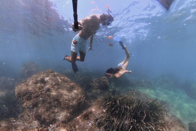 Guided Snorkeling in a Secret Spot of Begur, Costa Brava - Customer Reviews and Testimonials