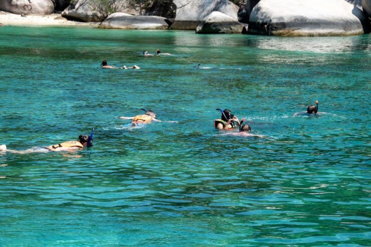 Guided Snorkeling in Ortigia - Good To Know