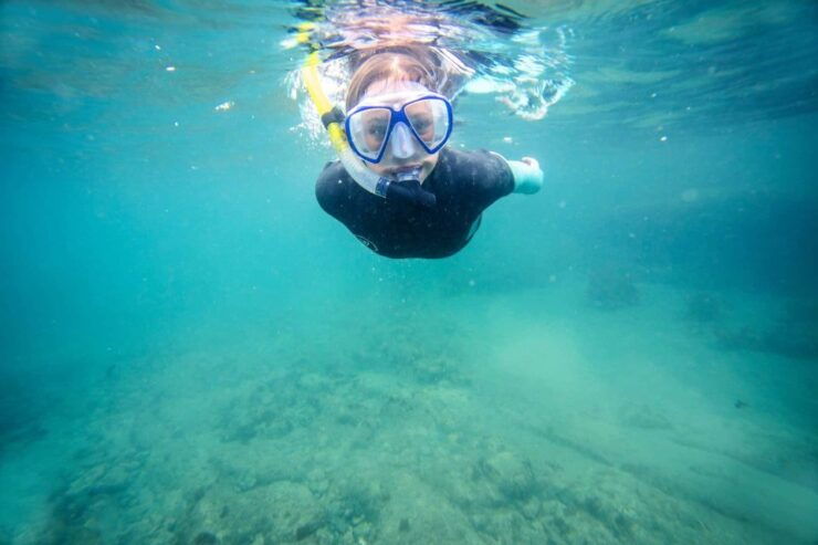 Guided Snorkeling Tours Auckland - Booking and Cancellation Policy