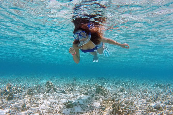 Guided Snorkeling Trip - Good To Know