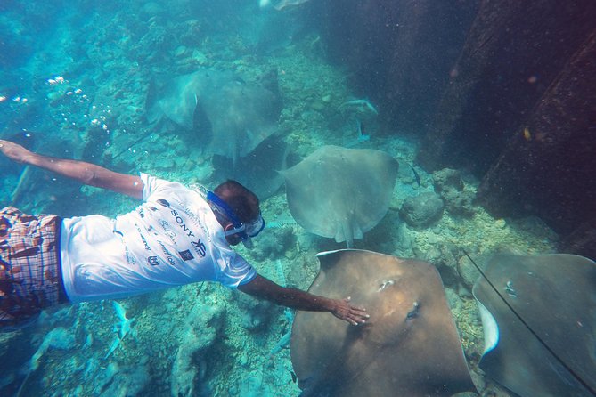 Guided Snorkeling Trip - Trip Highlights