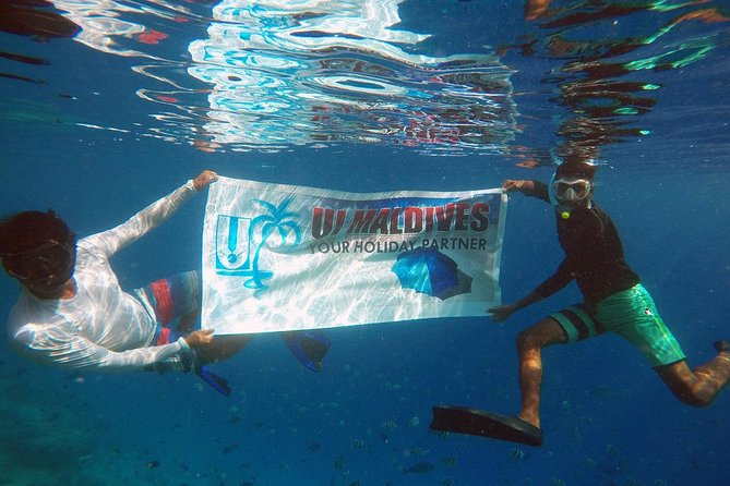 Guided Snorkeling Trip - Inclusions Provided