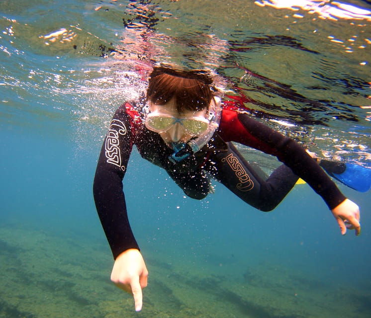 Guided Snorkelling Experience in South of Gran Canaria - Booking and Reservation Details