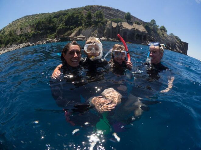 Guided Snorkelling With a Marine Biologist From Sorrento - Important Information