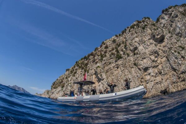 Guided Snorkelling With a Marine Biologist From Sorrento - Customer Reviews
