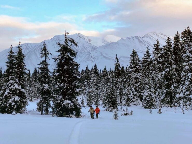 Guided Snowshoeing Adventure From Seward, Alaska - Activity Details