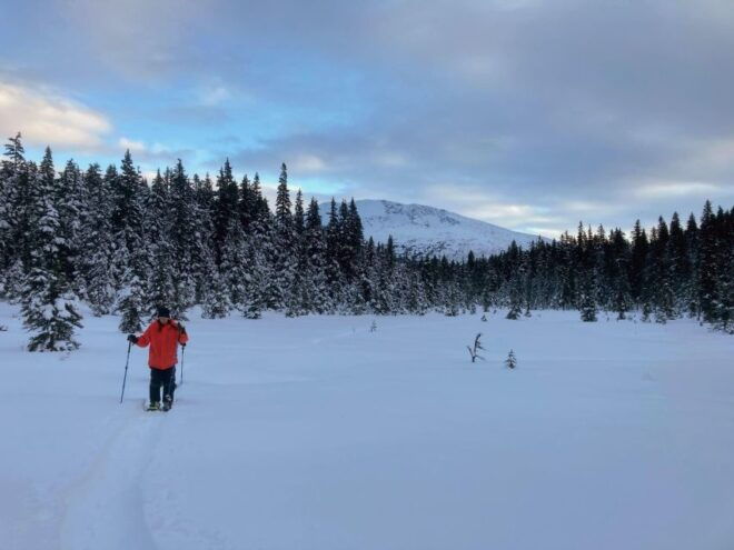 Guided Snowshoeing Adventure From Seward, Alaska - Benefits of the Guided Tour