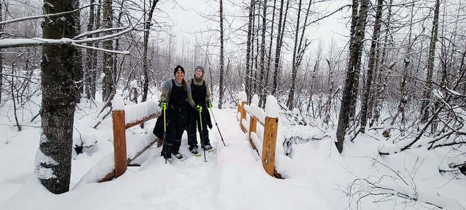 Guided Snowshoeing Adventure in Seward, Alaska - Pricing and Booking
