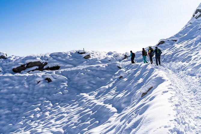 Guided Snowshoeing Day to Discover the Dolomites - Snowshoeing in the Dolomites: An Introduction