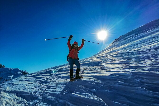 Guided Snowshoeing Day to Discover the Dolomites - Choosing the Perfect Snowshoeing Route