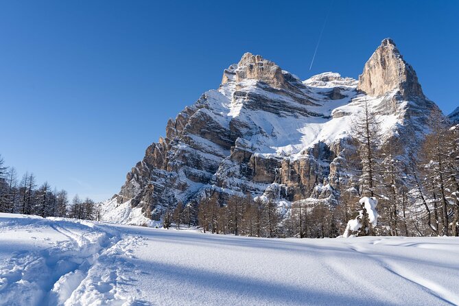 Guided Snowshoeing Day to Discover the Dolomites - Expert Tips for Snowshoeing in the Dolomites
