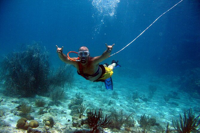 Guided SNUBA Adventure in St. Lucia - Gros Islet - Negative Review Example of SNUBA Adventure