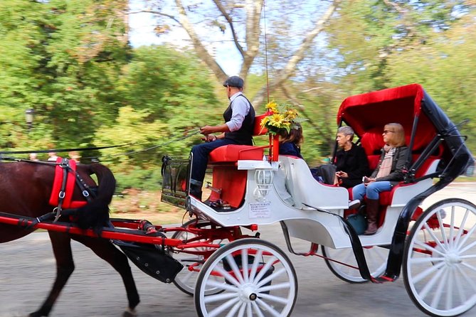 Guided Standard Central Park Horse Carriage Ride (Up to 4 Adults) - Landmarks and Trail