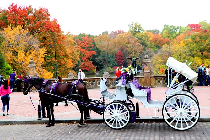 Guided Standard Central Park Horse Carriage Ride (Up to 4 Adults) - Meeting and Pickup