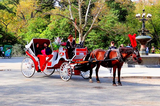 Guided Standard Central Park Horse Carriage Ride (Up to 4 Adults) - Maximum Occupancy and Restrictions