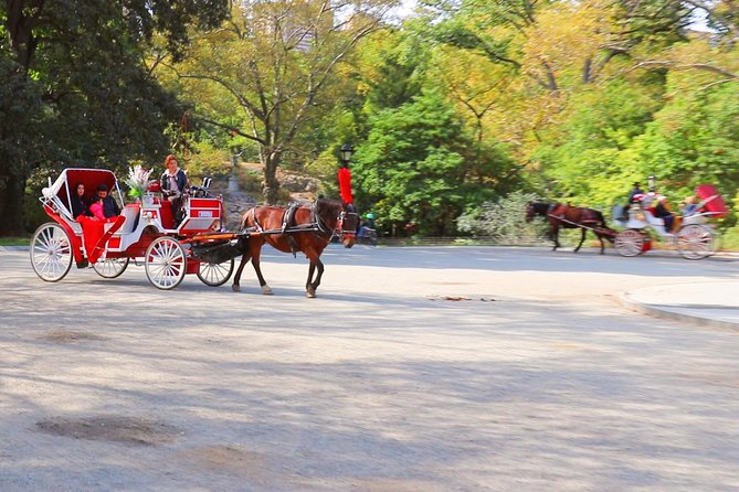 Guided Standard Central Park Horse Carriage Ride (Up to 4 Adults) - Common Questions