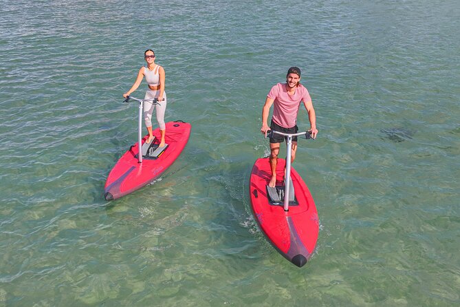 Guided Step-Up Paddle Board Tour of Narrabeen Lagoon - Minimum Requirements and Cancellations