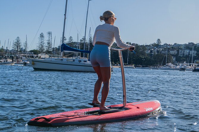 Guided Step-Up Paddle Board Tour of Narrabeen Lagoon - Additional Information