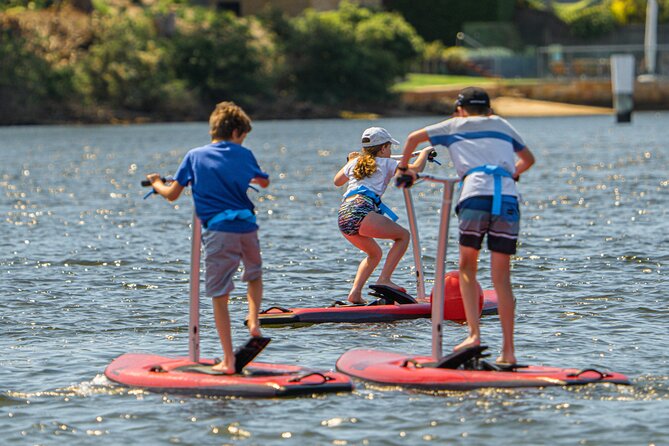 Guided Step-Up Paddle Board Tour of Narrabeen Lagoon - Meeting Point and Duration