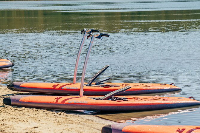 Guided Step-Up Paddle Board Tour of Narrabeen Lagoon - Weather and Tour Changes
