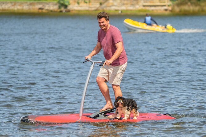 Guided Step-Up Paddle Board Tour of Narrabeen Lagoon - The Sum Up