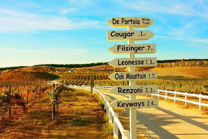 Guided Temecula Wine Tour From San Diego - Overview of Temecula Wine Tour