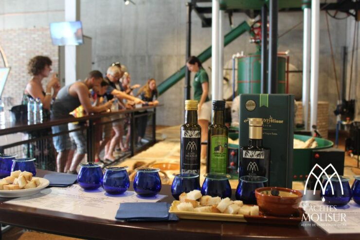 Guided Tour and Oil Tasting at the Aceites Molisur Factory - Features and Highlights
