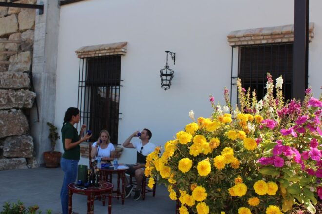 Guided Tour and Oil Tasting at the Aceites Molisur Factory - Experience Description and What to Bring