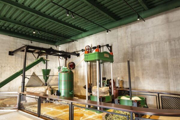Guided Tour and Oil Tasting at the Aceites Molisur Factory - The Sum Up