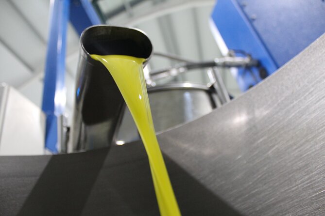 Guided Tour and Olive Oil Tasting in Alhaurin El Grande (Málaga) - Production Process for Extra Virgin Olive Oil