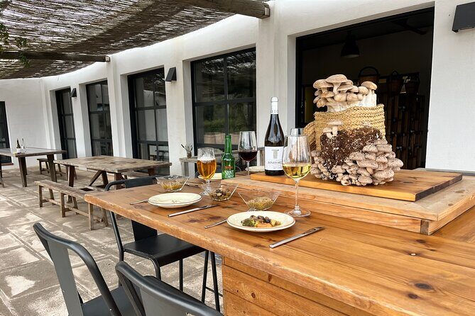 Guided tour and tasting in mushroom cultivation - Exploring the Mushroom Cultivation Tour in Menorca: A Deep Dive into Fungi and Flavors