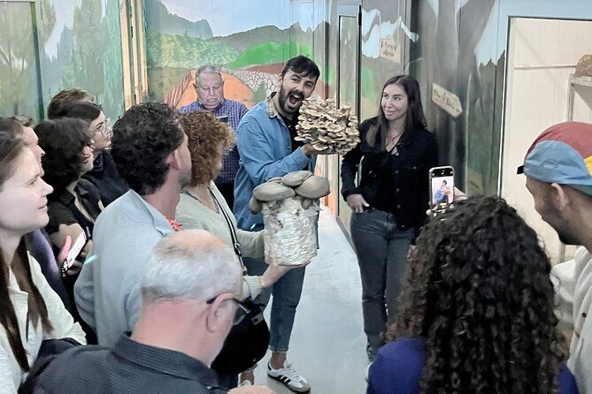 Guided tour and tasting in mushroom cultivation - The Sum Up: Is It Right for You?