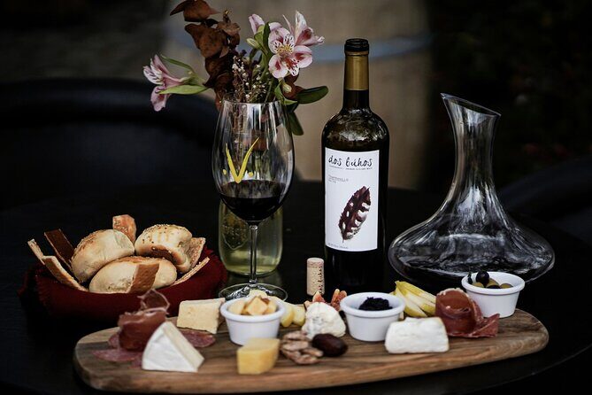 Guided tour and tasting of 4 wines at Viñedo Dos Búhos - Good To Know