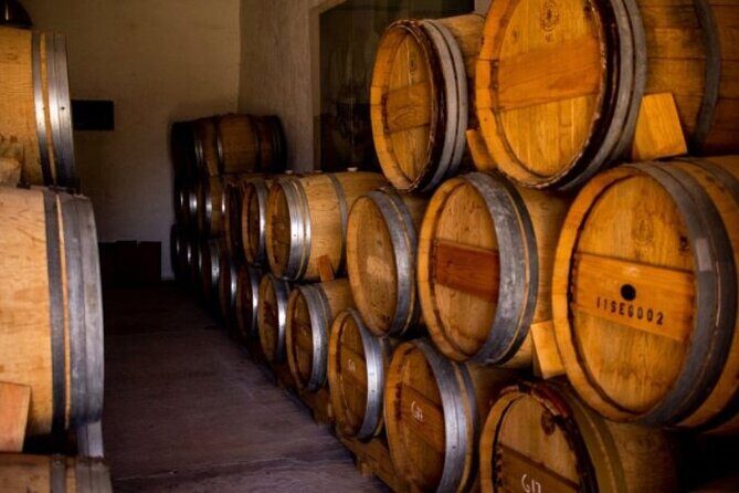 Guided tour and tasting of 4 wines at Viñedo Dos Búhos - A Closer Look at the Tour Experience