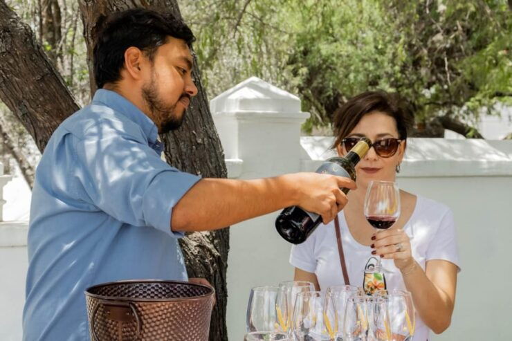 Guided Tour and Tasting of 4 Wines at Viñedo Dos Búhos - Good To Know