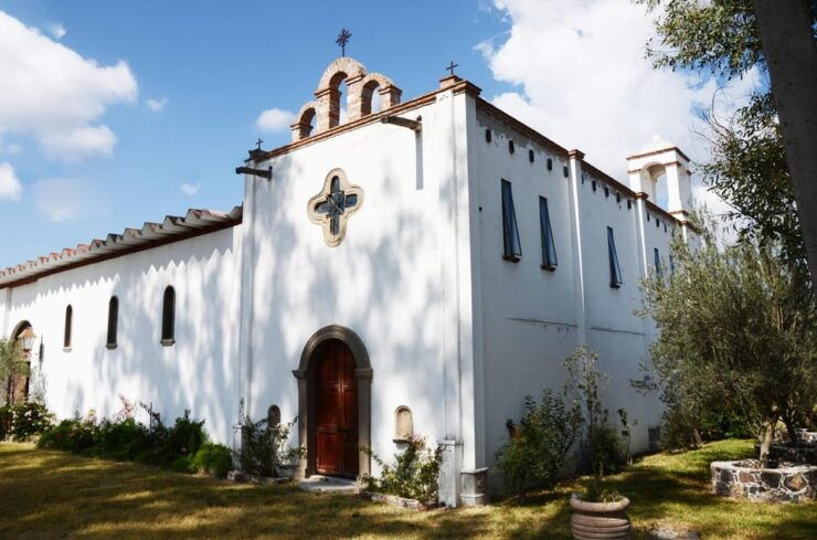 Guided Tour and Tasting of 4 Wines at Viñedo Dos Búhos - Winemaking Process Explained