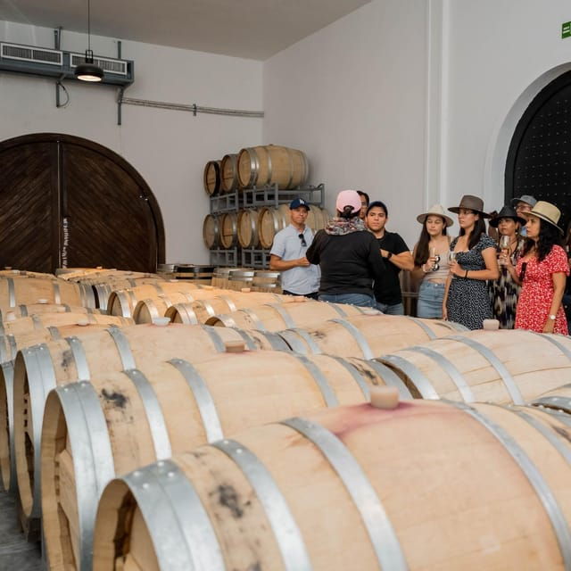 Guided Tour and Tasting of 4 Wines at Viñedo Dos Búhos - Winerys History and Heritage