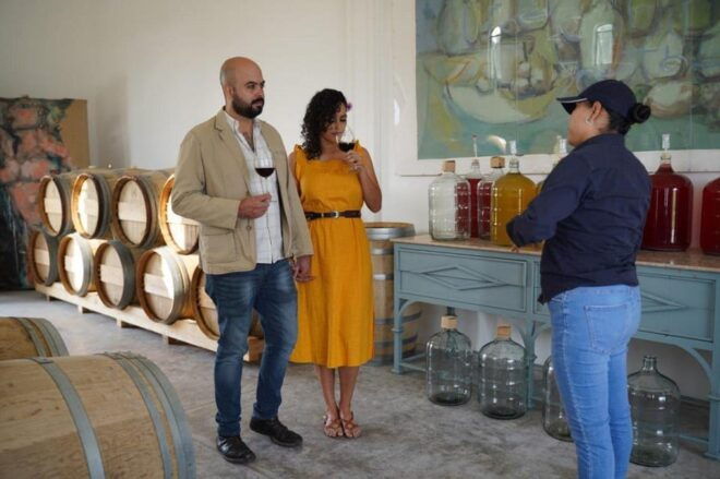 Guided Tour and Tasting of 4 Wines at Viñedo Dos Búhos - Tasting of Four Wines