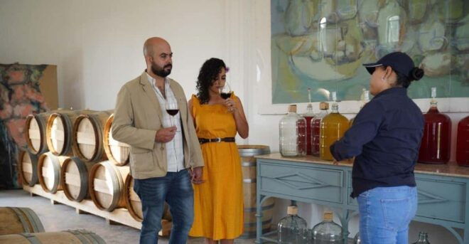 Guided Tour and Tasting of 4 Wines at Viñedo Dos Búhos - Live Tour Guide in Spanish