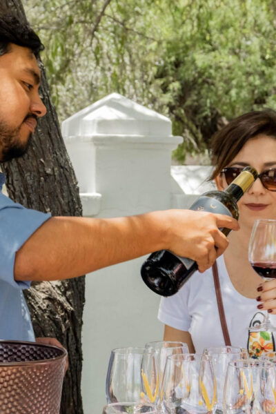 Guided Tour and Tasting of 4 Wines at Viñedo Dos Búhos - Free Cancellation Policy