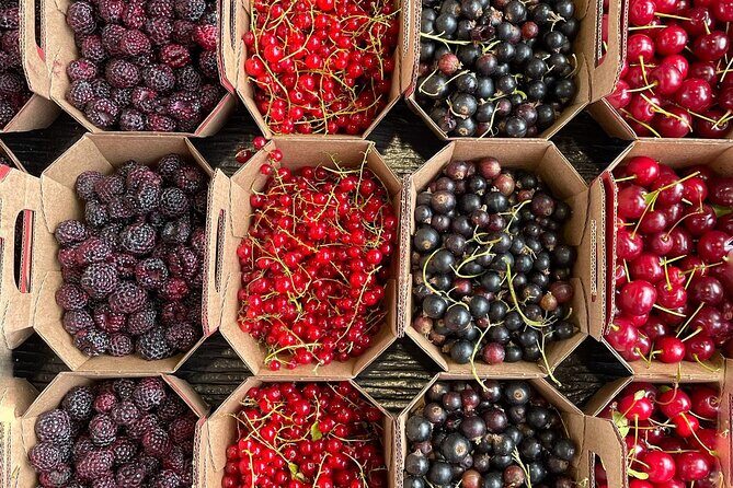 Guided Tour and Tastings at Jean-Talon Market with a Food Writer - Why This Tour Is Worth Considering