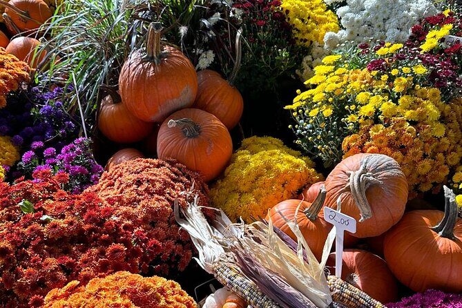 Guided Tour and Tastings at Jean-Talon Market with a Food Writer - FAQ