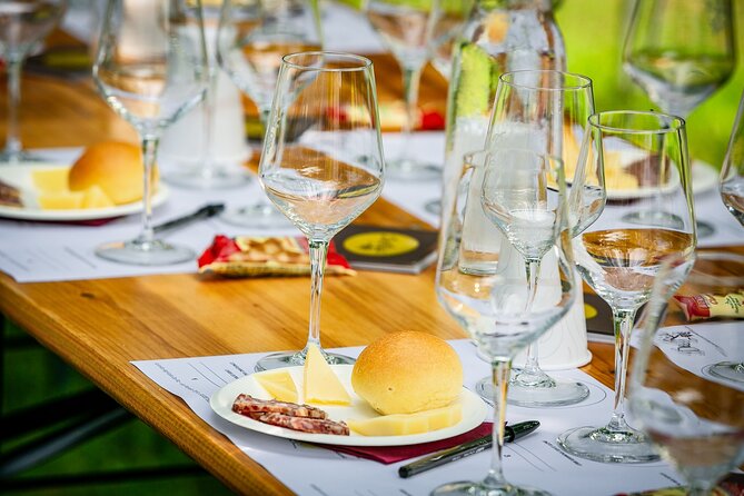 Guided Tour and Wine Tasting of 5 Wines to Discover the Conegliano Valdobbiadene - Tour Schedule and Itinerary
