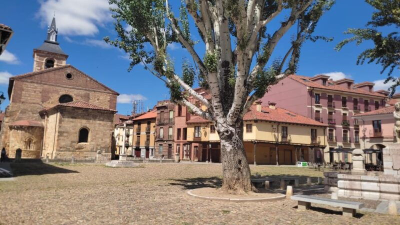 Guided Tour Around León - Key Highlights of the Itinerary