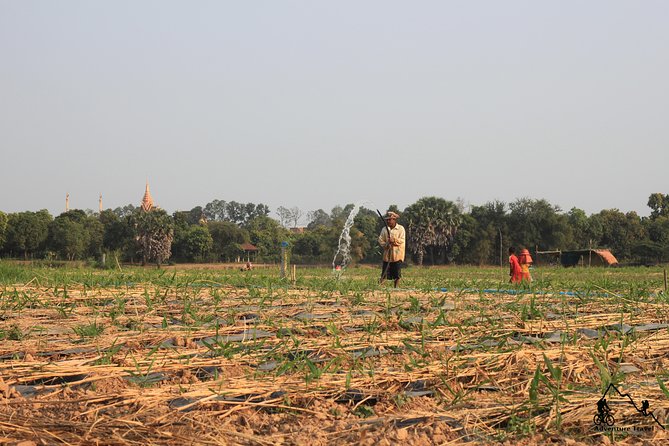 Guided Tour Around Silk Island by Tuk Tuk - Farming Experience at a Local Farm